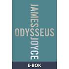Modernista Odysseus, (E-bok)