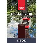 Björn Lundén Försäkringar (E-bok)