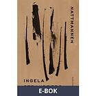 Nattmannen : Dikter (E-bok)