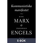 Modernista Kommunistiska manifestet (E-bok)