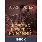 Hur man fryser in en mammut, (E-bok)