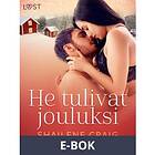 LUST He tulivat jouluksi Eroottinen joulukertomus, (E-bok)