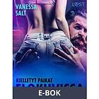 LUST Kielletyt paikat: Elokuvissa eroottinen novelli, (E-bok)