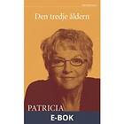 Den tredje åldern (E-bok)