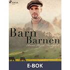 Barnbarnen (E-bok)