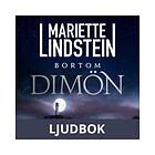 Bortom Dimön, Ljudbok