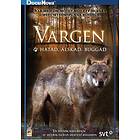 Vargen - älskad, hatad, buggad (DVD)