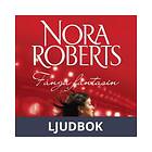 Word Audio Publishing Fånga fantasin, Ljudbok