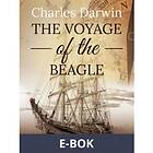 The Voyage of the Beagle, (E-bok)