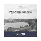 Handlarens Hedemora: Bilder ur Henrik Hanssons fotosam