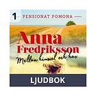Mellan himmel och hav, Ljudbok