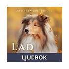 Lad: A Dog, Ljudbok