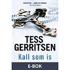 Jentas Kall som is (E-bok)