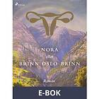 Nora eller Brinn Oslo brinn (E-bok)