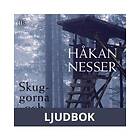 Skuggorna och regnet, Ljudbok