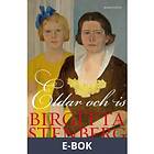 Eldar och is (E-bok)