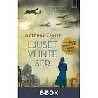 Ljuset vi inte ser (E-bok)