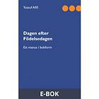 Dagen efter födelsedagen: Ett manus i bokform (E-bok)