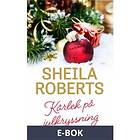 Kärlek på julkryssning (E-bok)
