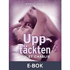 Lusthuset Upptäckten (E-bok)