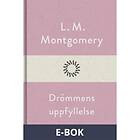 Modernista Drömmens uppfyllelse (E-bok)