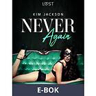 LUST Never Again The Feisty Ladies 1 (E-bok)