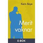 Merit vaknar (E-bok)