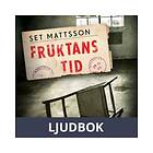 Historiska Media Fruktans tid, Ljudbok