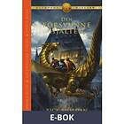 Den försvunne hjälten (E-bok)
