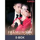 Cupido Främlingen på nattåget (E-bok)