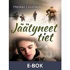 Jäätyneet tiet (E-bok)