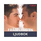 Cupido Främlingen på bussen, Ljudbok