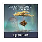 Media 24 / Digibook Det sanna ljuset i tillvaron Om existentiell bal