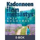 Kadonneen ilon metsästys, (E-bok)