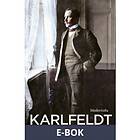 Modernista Karlfeldt, (E-bok)