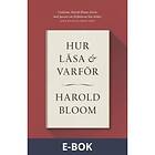 Modernista Hur läsa och varför, (E-bok)
