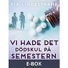 Vi hade det dödskul på semestern (E-bok)