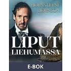 Liput liehumassa (E-bok)