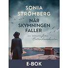 När skymningen faller (E-bok)