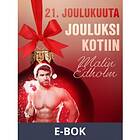 LUST 21. joulukuuta: Jouluksi kotiin – eroottinen joulukalenteri, E-bo