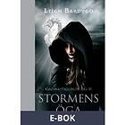 Stormens öga (E-bok)