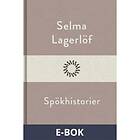 Modernista Spökhistorier, ((E-bok))