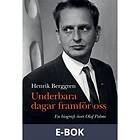 Underbara dagar framför oss (E-bok)