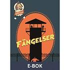 Det visste du inte om fängelser, (E-bok)