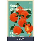 Små glädjeämnen, (E-bok)