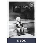 Polaris Drömvärldar, (E-bok)