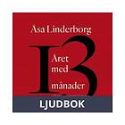 Året med 13 månader, Ljudbok