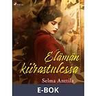 Elämän kiirastulessa, (E-bok)