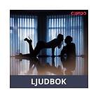Cupido The work trip, Ljudbok