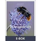 Förundran Natur som ger livslust, (E-bok)